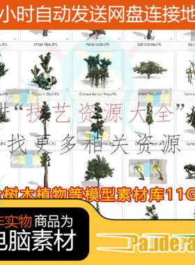 speedtree树木植物模型库树库松树植被景观素材包3dmax/unity/ue4