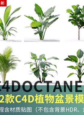 C4D植物盆景模型室内绿植植物摆件 OC渲染器设计素材贴图源文件