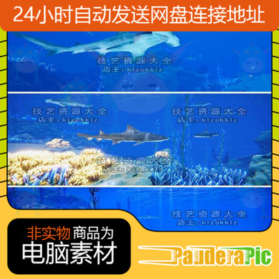 unity海底场景深海水底水下世界鱼群海洋生物鱼类u3d模型素材urp
