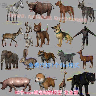 【80个打包】maya绑定写实动物模型素材猪马猫狗熊鹿代做骨骼蒙皮