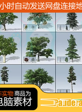 unity3D植物SpeedTree 树木植物灌木花草模型资源包/u3d植物植被