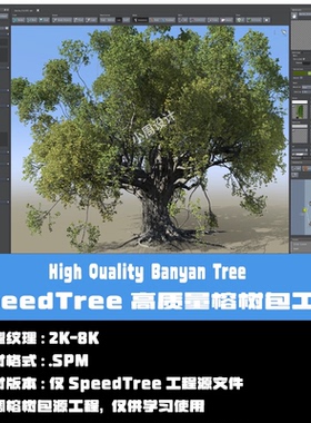 12款SpeedTree榕树包源工程 树木软件SpeedTree工程文件spm