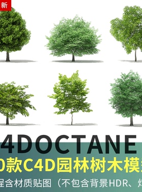 40套C4D园林树木模型 大型景观树绿植植物摆件 OC渲染器设计素材