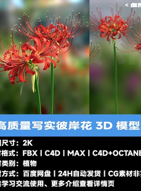 C4D写实彼岸花3D模型3dmax红色彼岸花fbx花朵植物cg模型