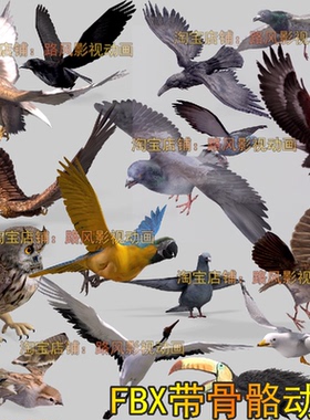 16个鸟类3dmax模型maya老鹰金雕麻雀鸽子鹦鹉fbx骨骼动作仙鹤小鸟