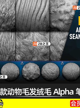 ZBrush动物毛皮毛发绒毛Alpha笔刷png纹理贴图ZB雕刻猫狗牛虎狮豹