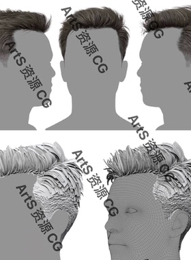 3DScanStore高质量插片毛发男性人物短发插片头发3D模型blend fbx