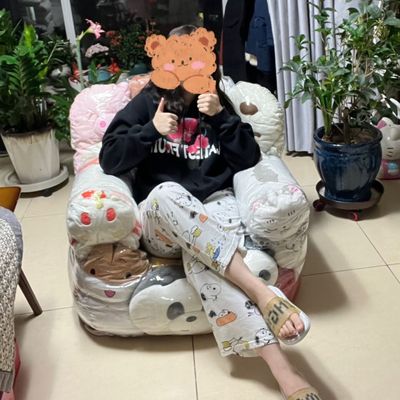 毛绒娃娃填充沙发装娃娃的透明沙发娃娃收纳神器公仔玩偶收纳凳子