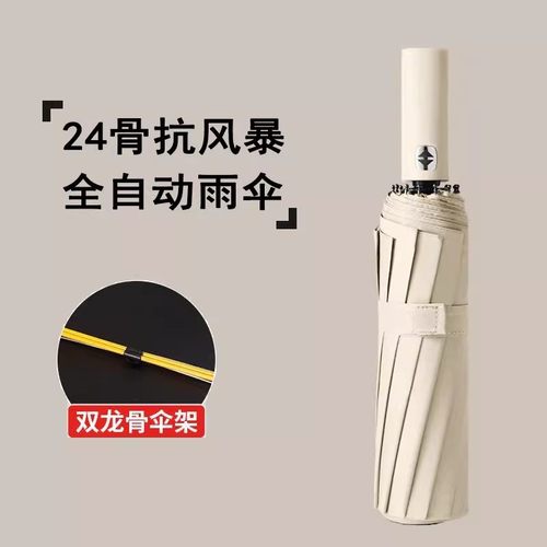 德国24骨双龙骨雨伞加大加固加厚