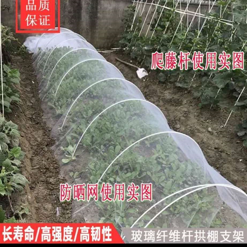 20根大棚骨架拱棚支架搭棚架子玻璃纤维种菜家庭用菜棚蔬菜小拱棚 鲜花速递/花卉仿真/绿植园艺 其它园艺用品 原图主图