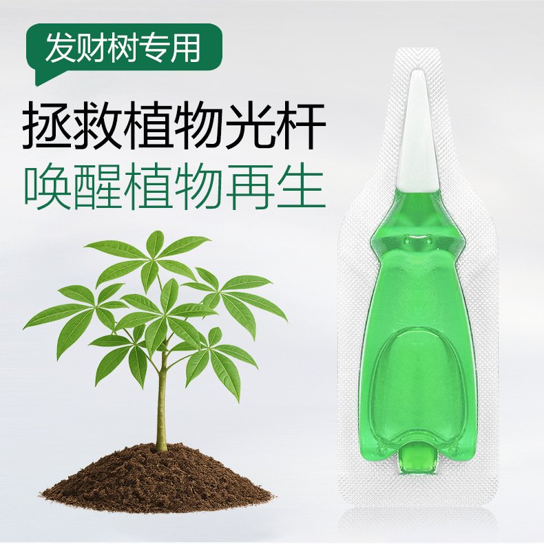 植物发财树再生剂花卉园艺盆栽绿植盆栽专用型免稀释营养液HB68