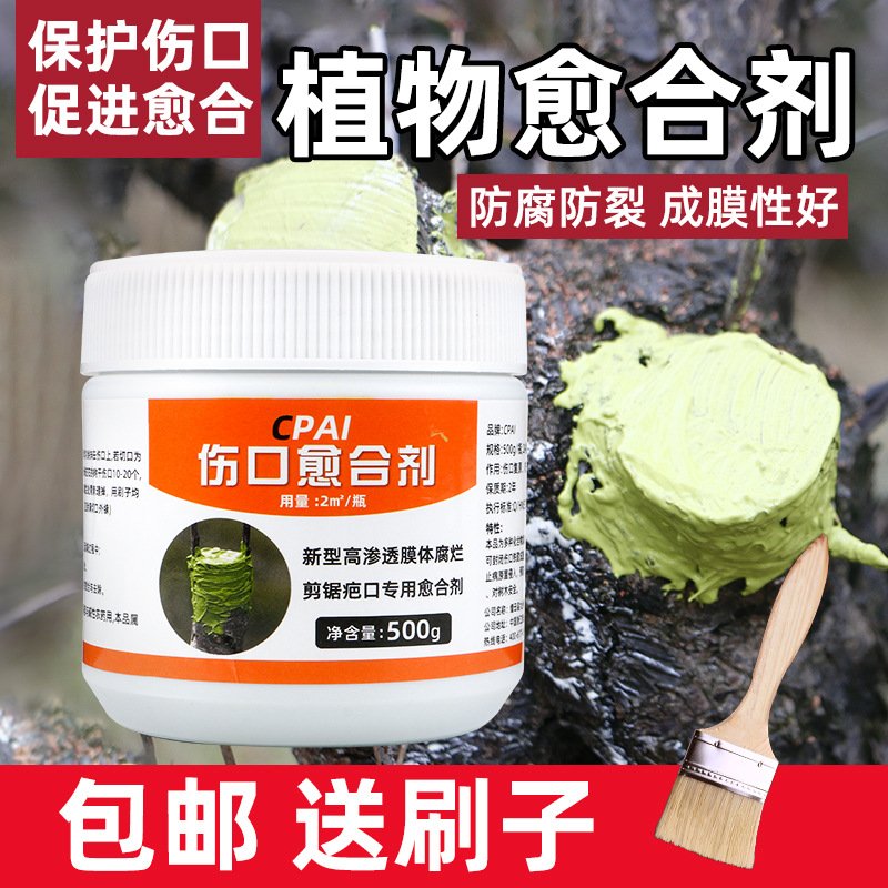 树木伤口愈合剂树干涂补剂盆景树皮涂膜剂果树嫁接切口修复涂ZJ97