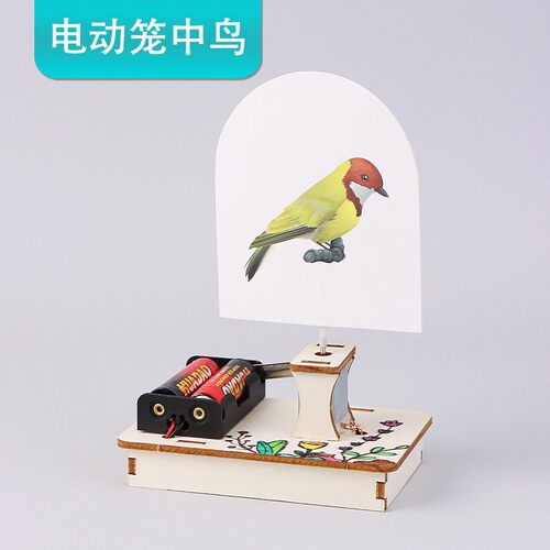 笼中鸟视觉停留diy手工拼装科技小制作益智发明儿童物理实验SH33