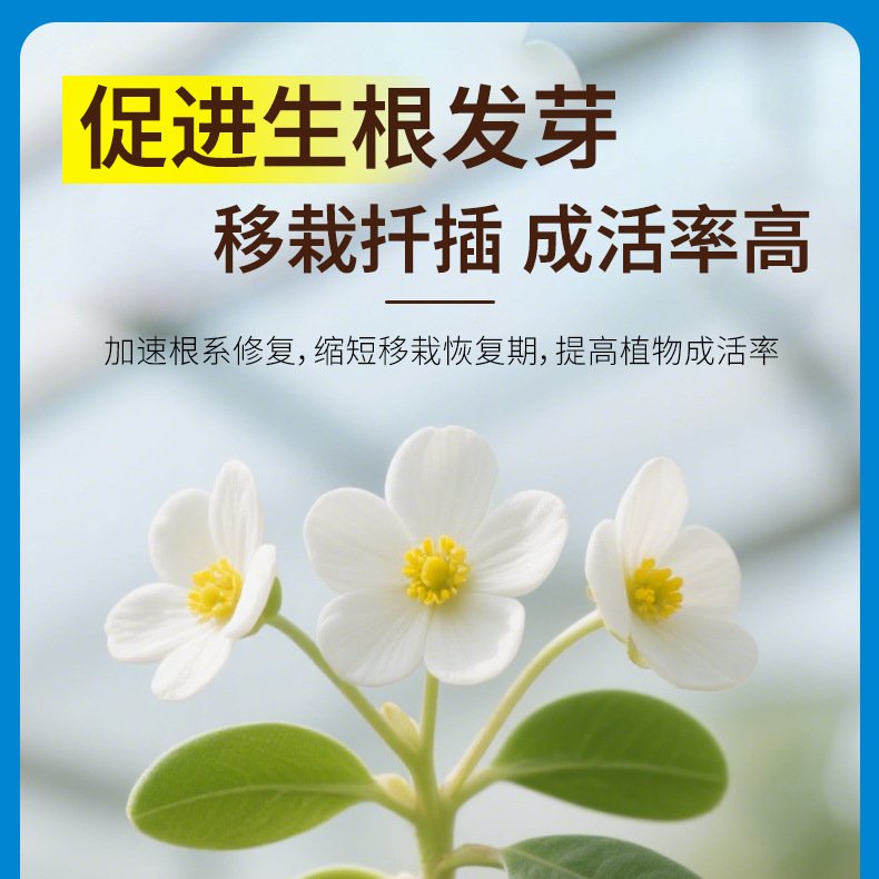 植物生根液生根壮苗营养液发根剂园艺花肥料绿植通用型HB28