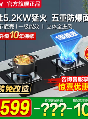 海尔Q2BE3燃气灶煤气灶双灶家用天然气炉灶液化气嵌入式灶台灶具