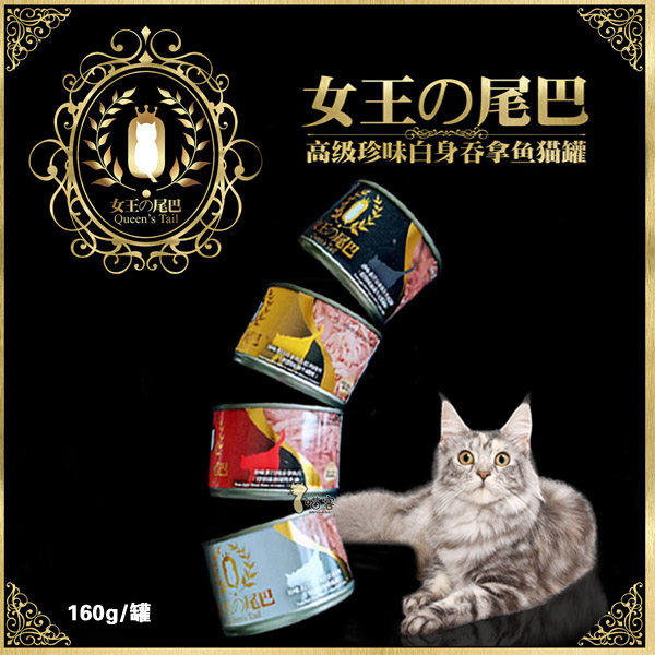 猫扑女王尾巴吞拿鱼白肉汤罐幼猫
