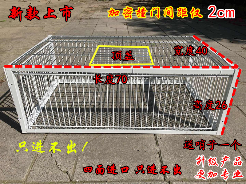 鸽子撞门鸽子活络门笼撞门鸽笼铁笼只进不出跳笼天落笼撞门自动门