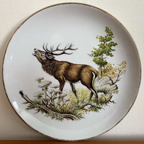 Royal Tudor Ware 皇家都铎陶器 英国老瓷碟 Ironstone 鹿收藏盘
