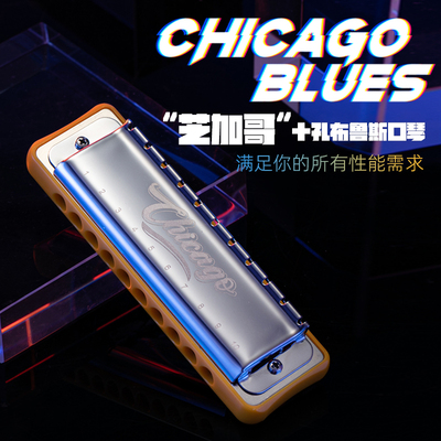 JDR嘉德瑞芝加哥chicago布鲁斯蓝调十孔口琴10孔C调初学者paddy