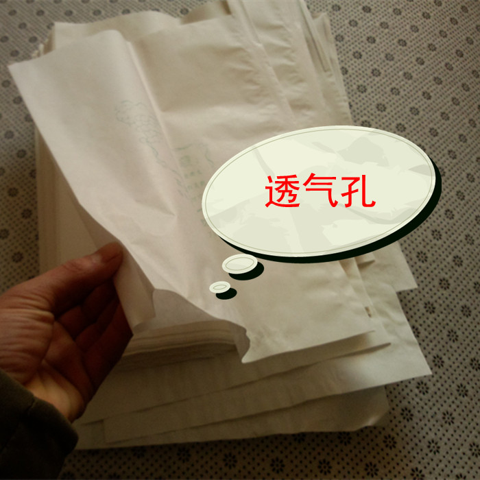 果实葡萄袋专用套袋纸袋大号防虫袋袋子露天果树保护果子防鸟水果|ruв категории доставка цветов/цветок моделирования/растения садоводства, садовых принадлежностей, других садовых принадлежностей - от Buy2taobao.com для оказания профессиональной услуги покупки агента Taobao