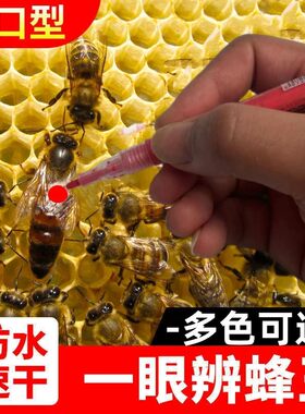 防水速干不掉色蜂王标记笔