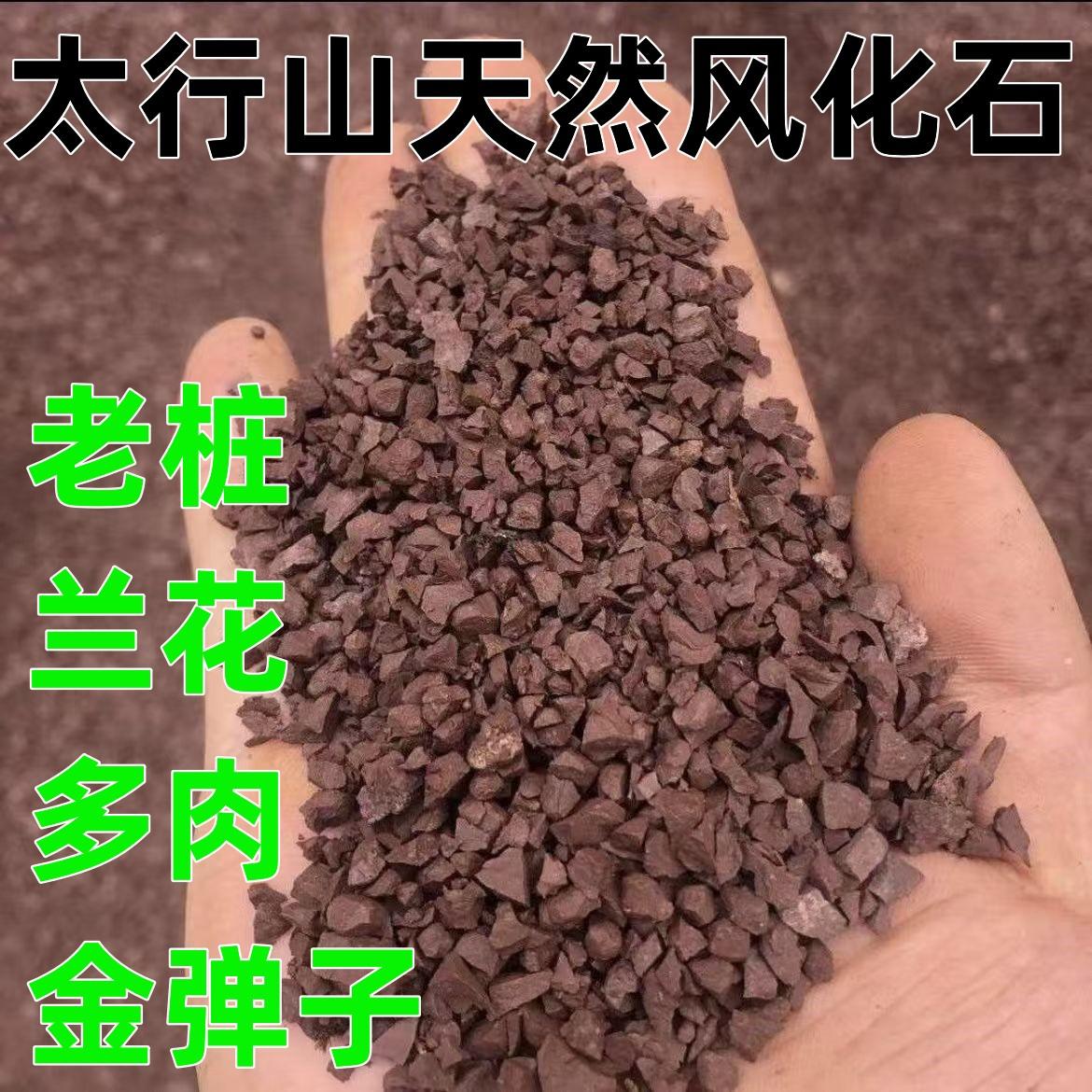 小叶簕竹专用土酸性营养土