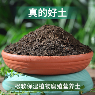通用性天然有机营养土阳台种菜养花土弱酸性松针土腐熟田园腐殖土