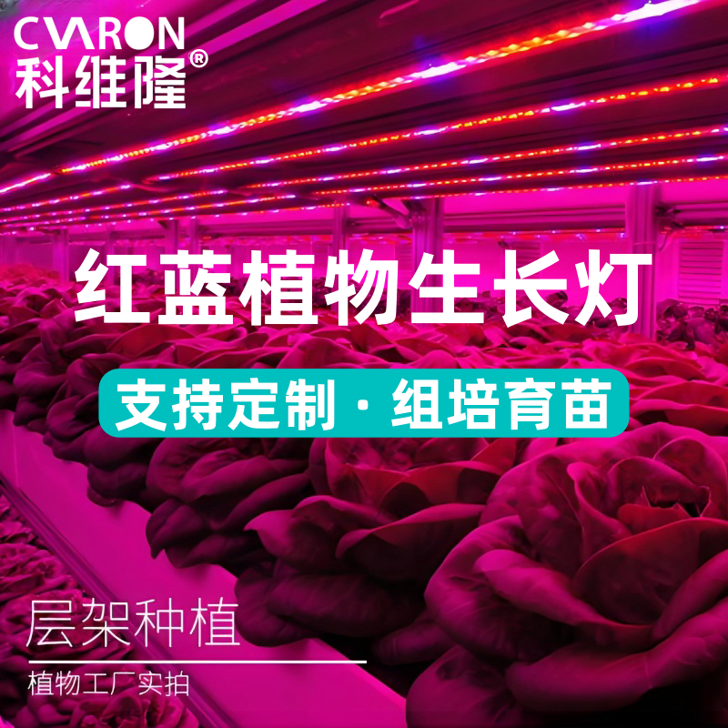 科维隆 红蓝LED植物生长灯组培育苗实验蔬菜大棚草莓补光灯T8灯管