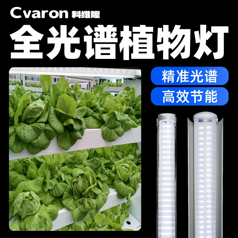 科维隆热植补光灯植物灯全光谱