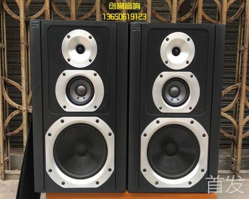 二手进口音响 尊宝JAMO BX100 丹麦生产八寸落地监听发烧音箱..