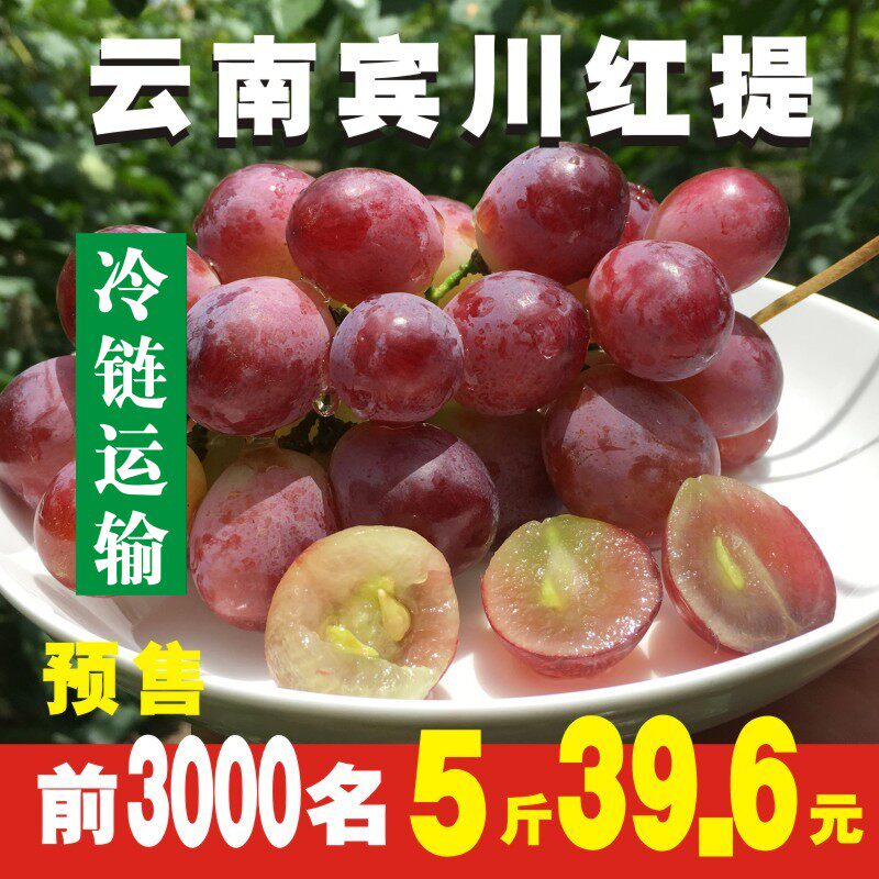 滇圣 云南宾川高山红提葡萄新鲜当季水果黑提子孕妇整箱包邮5斤|msdalam kategori daging perikanan/Buah-buahan segar dan sayur-sayuran/dimasak, buah-buahan segar, Grape/Raisin - dari Buy2taobao.com untuk memberikan perkhidmatan ejen Taobao profesional membeli