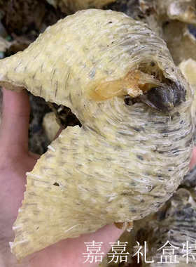 电白特产电城渔民生晒新鲜拔刺龟皮煲汤天然胶质海味干货250g包邮