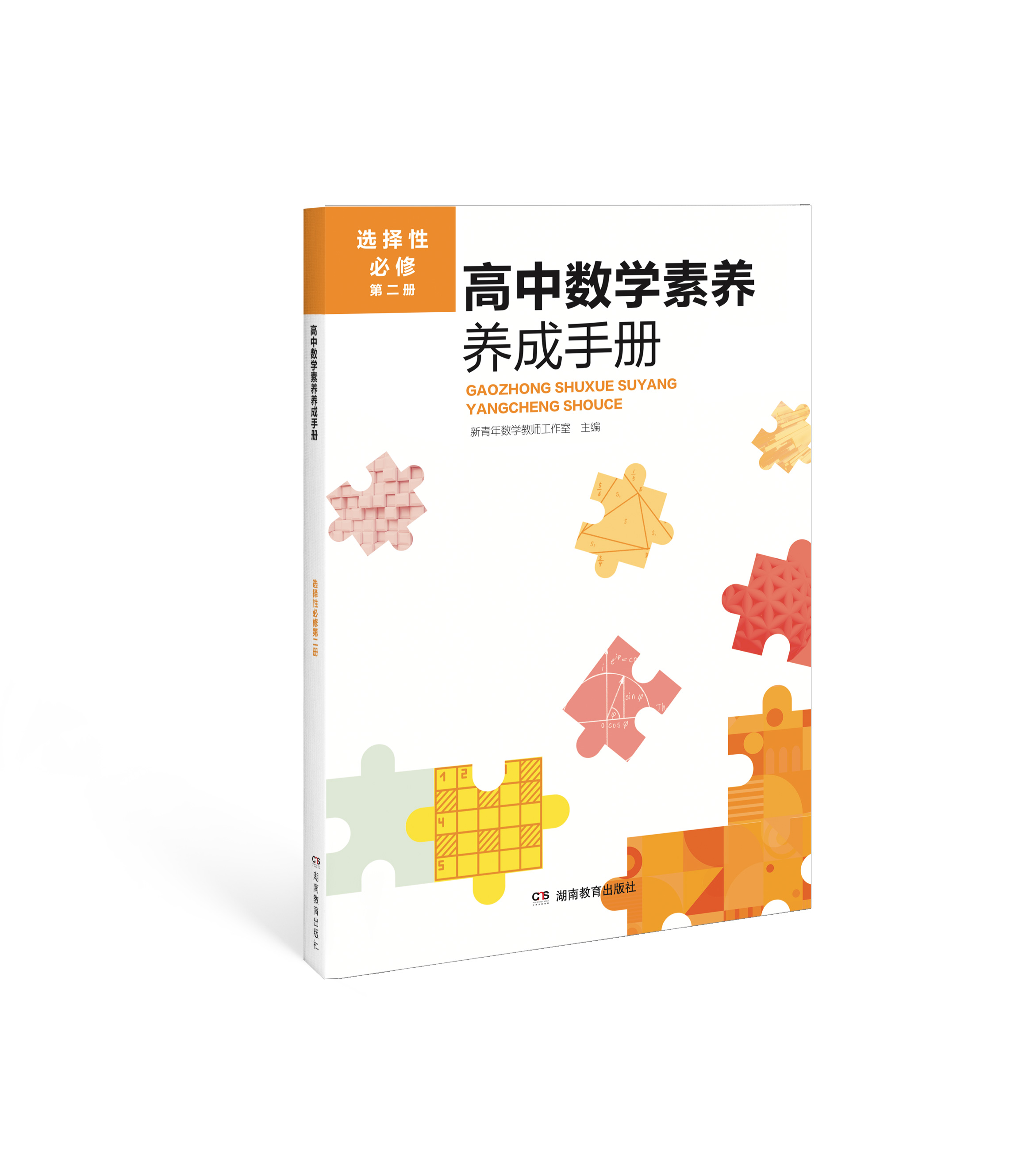 高中数学素养养成手册:选择性必修.第二册
