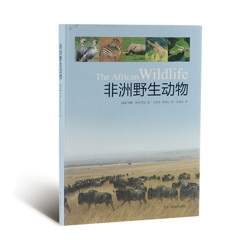 记录神奇的非洲野生动物