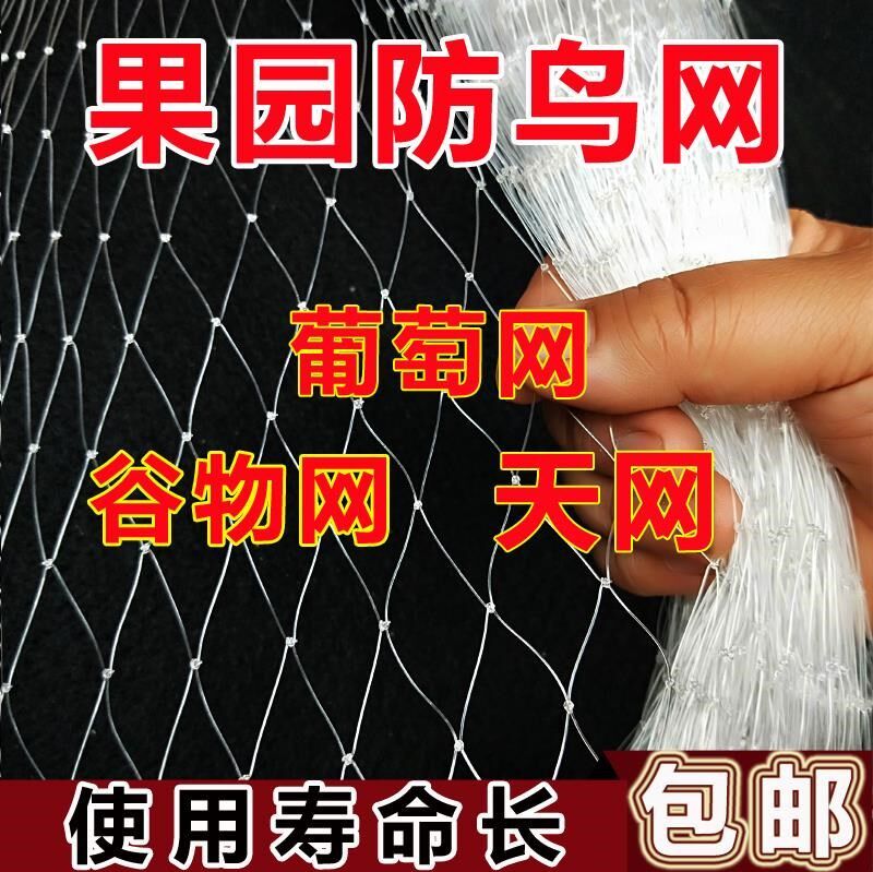 nylon Anti-bird netting Guardrail net Hoods Fruit tree filter screen Loach breed balcony Vine Plastic Silk screenin the Flower delivery/Flowers simulation/Plants gardening , Gardening supplies , Other Garden Supplies  category - from Buy2taobao.com to provide professional Taobao agent buy service