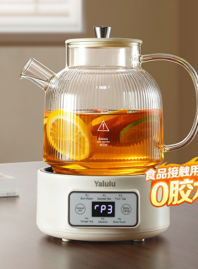 110V全玻璃多功能煮茶养生壶1L