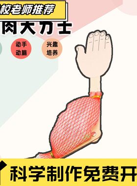 骨骼肌运动简易模型手工小制作 生物科学课件 中学生物理科学实验