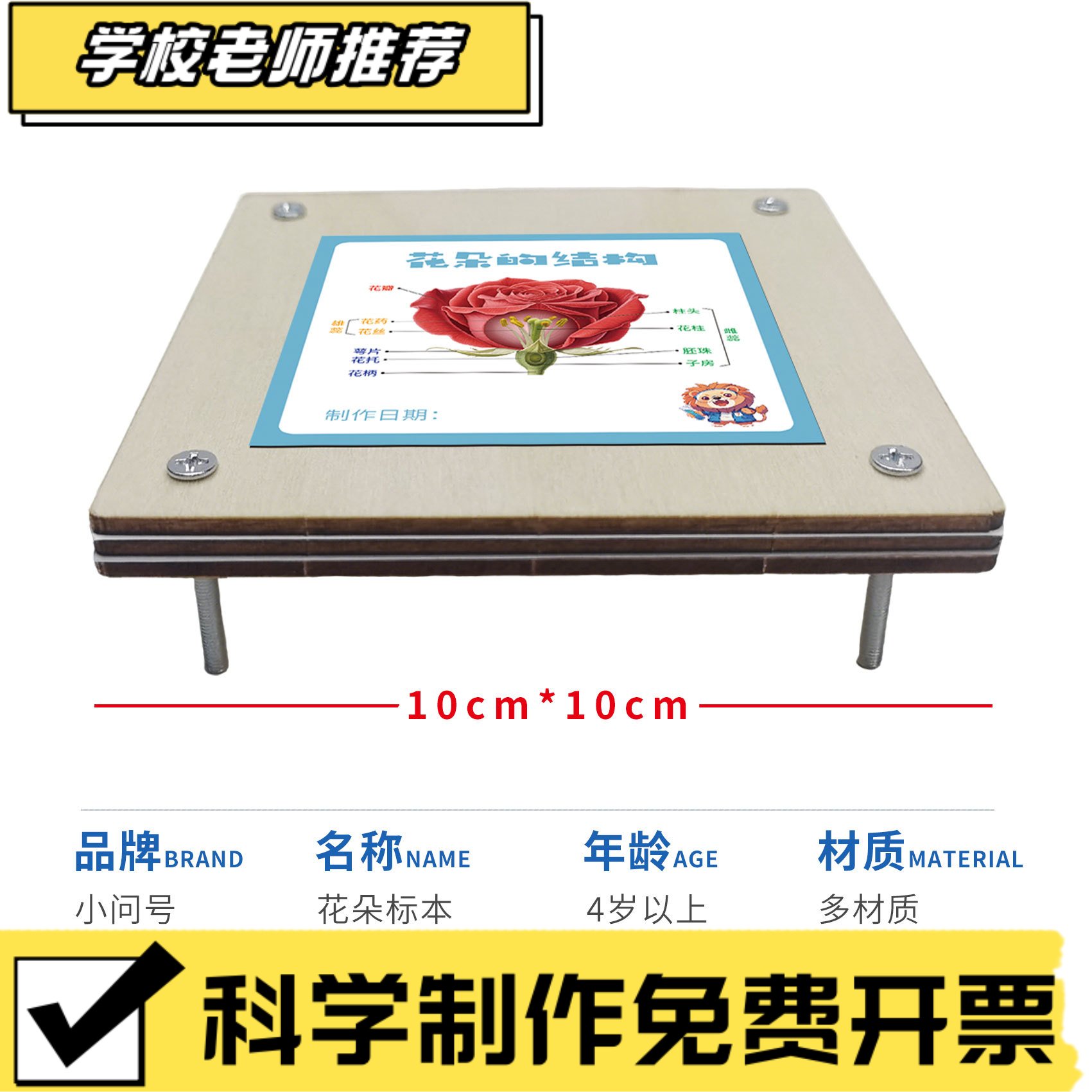 Y4制作花朵标本儿童科学实验器材STEAM教具模型幼小初创客ZZ47