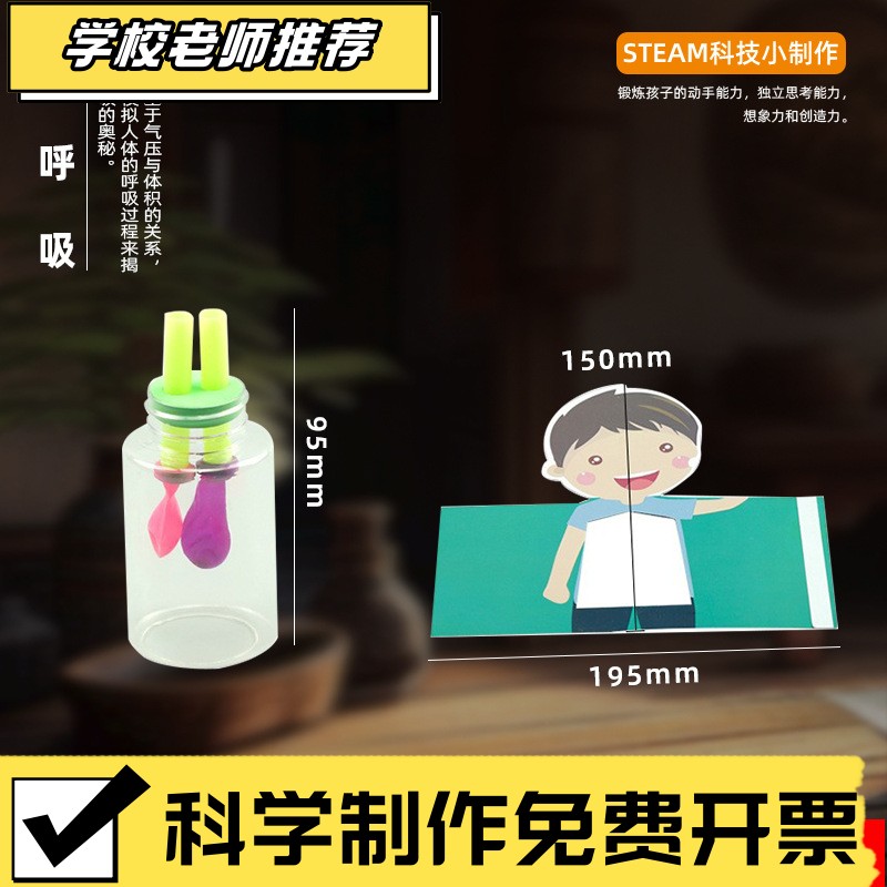 模拟肺呼吸教具幼儿园小学科学实验手工小制作科学实验diy材XA19