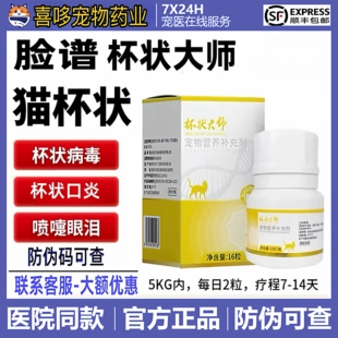 脸谱杯状大师猫杯状病毒口炎疱疹大师口延猫鼻吱喷嚏流泪炎正大师