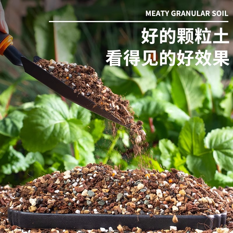 多肉营养土颗粒专用种植栽培土养