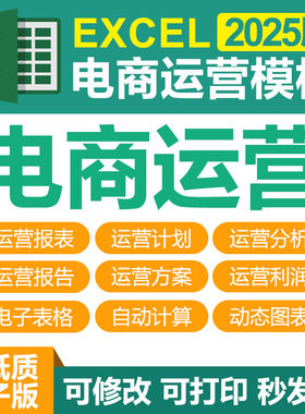 Excel电子表格淘宝天猫抖音等电商网站运营专用表格运营分析模板