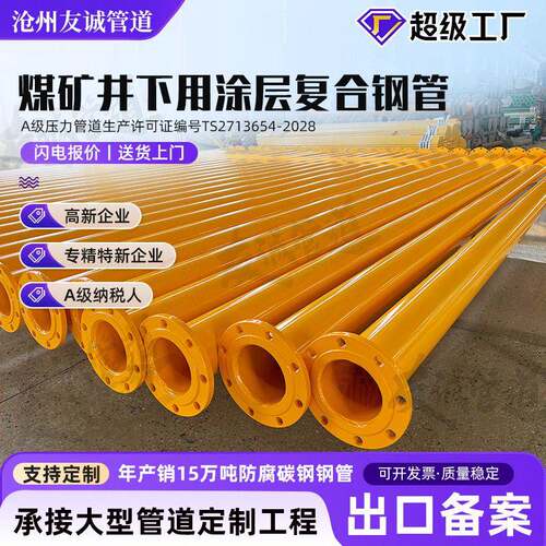 煤矿瓦斯抽放用双抗法兰涂塑钢管SP (W)-TEP-KM245涂塑无缝钢管