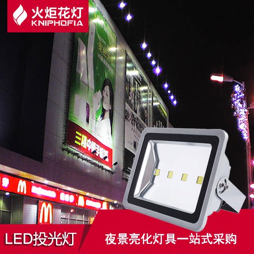 LED投光灯户外火炬花背包泛光灯
