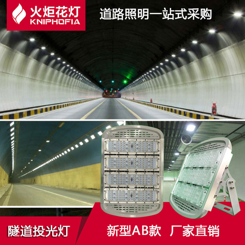 LED模组隧道灯S1S4型100W户外防水防雷球场灯150W高杆灯200W250W