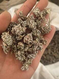 野生密蒙花自然晒干