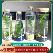 初中生物生态瓶微景观DIY观赏鱼真水草科学手提学校鱼缸水族箱摆
