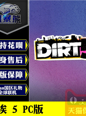 PC正版Steam 尘埃5 Dirt 5 Amplified 标准版 加强版 激活码 key