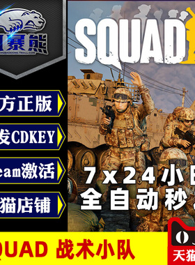 PC正版中文Steam 战术小队Squad 行动小组 中国大陆区 土耳其 俄区 土区激活码cdkey成品帐号