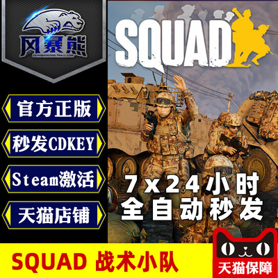 pc正版steam战术小队激活码